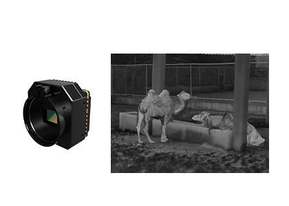 उच्च संवेदनशीलता थर्मल सुरक्षा कैमरा अनकूल्ड इन्फ्रारेड मॉड्यूल