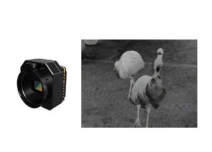 कई लेंस के साथ अनकूल्ड इन्फ्रारेड थर्मल सिक्योरिटी कैमरा मॉड्यूल